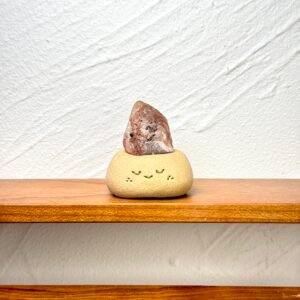 Y133太陽石小豆丁Golden sun stone bean