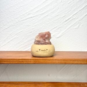 Y135太陽石小豆丁Golden sun stone bean