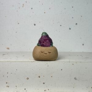 NN82西瓜碧璽小豆丁Watermelon tourmaline bean