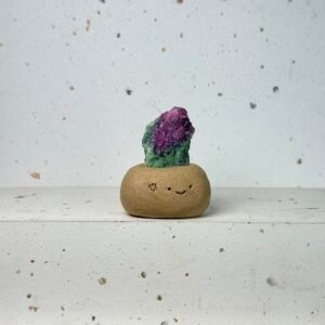 NN86西瓜碧璽小豆丁Watermelon tourmaline bean