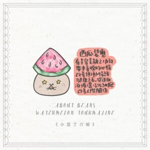 NN 西瓜碧璽小豆丁 Watermelon Tourmaline bean