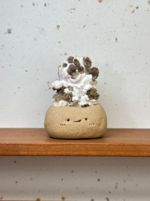 GY75爆谷石膏小豆丁Popcorn Gypsum